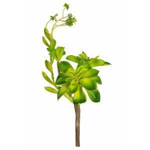 G23097-2 Изкуствено Растениe Зелен Суколент