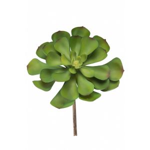 G23096-3 Изкуствено Растениe Зелен Суколент