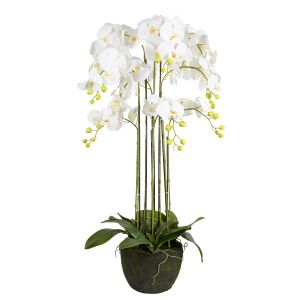 G23098-1 Изкуствено Цвете Бяла Орхидея