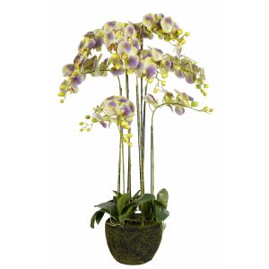 G230100-2 Изкуствено Цвете Зелена Орхидея